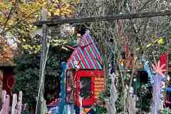 IMG-20231122-WA0001