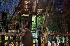IMG-20241116-WA0022